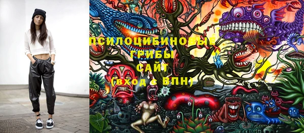 стафф Арсеньев