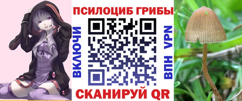 Галлюциногенные грибы Cubensis  Октябрьск 