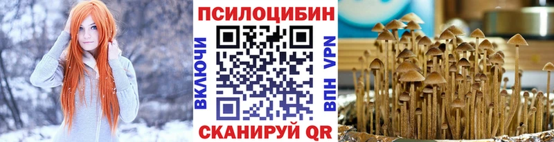 Псилоцибиновые грибы мицелий Октябрьск